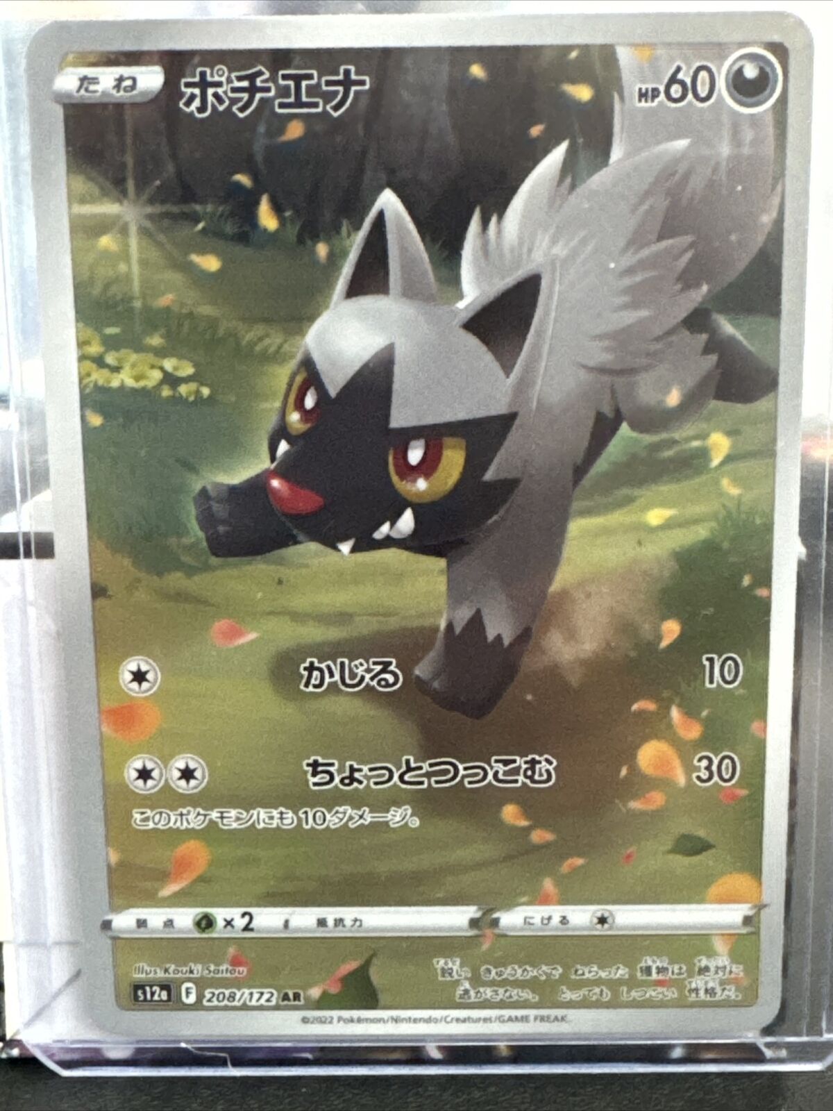 Poochyena 208/172 AR Japanese Pokemon s12a VSTAR Universe